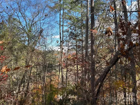 Paint Fork Road, Mars Hill, NC 28754 photo 23