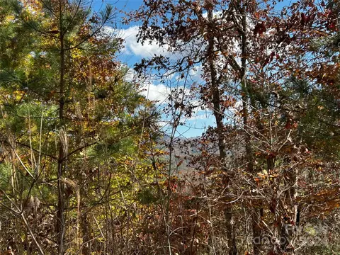 Paint Fork Road, Mars Hill, NC 28754 photo 3