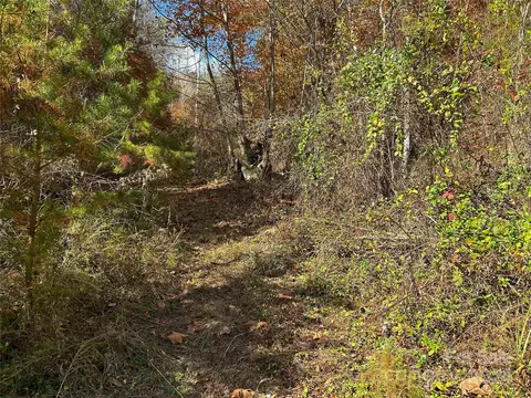Paint Fork Road, Mars Hill, NC 28754 photo 18