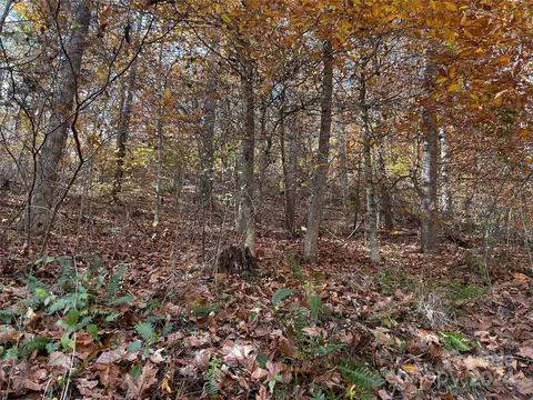 Paint Fork Road, Mars Hill, NC 28754 photo 20