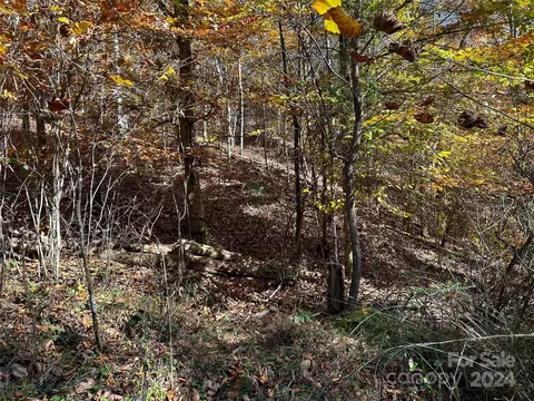 Paint Fork Road, Mars Hill, NC 28754 photo 21