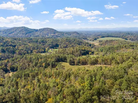 Paint Fork Road, Mars Hill, NC 28754 photo 11