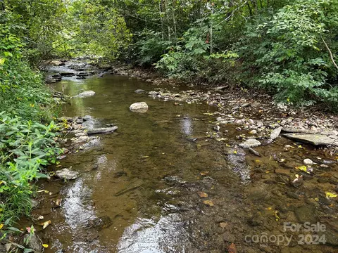 Paint Fork Road, Mars Hill, NC 28754 photo 4