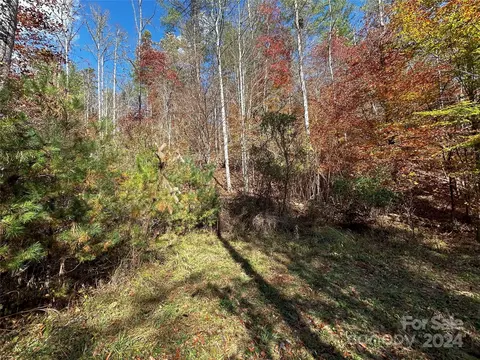 Paint Fork Road, Mars Hill, NC 28754 photo 24