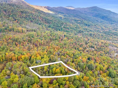Other - 2140 Harm Creek Loop, Mill Spring, NC 28756 photo 5 of 15