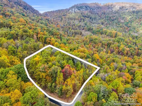 Other - 2140 Harm Creek Loop, Mill Spring, NC 28756 photo 12 of 15