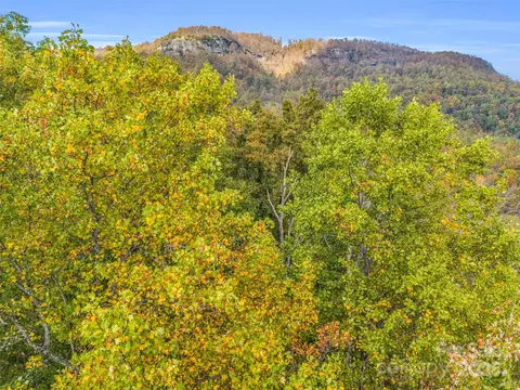 Other - 2140 Harm Creek Loop, Mill Spring, NC 28756 photo 13 of 15