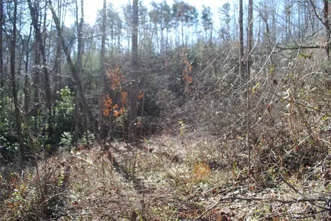 36 Robert Williams Rd, Fairview, NC 28730 photo 20