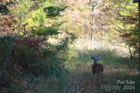 159 Clarks Chapel Ext, Weaverville, NC 28787