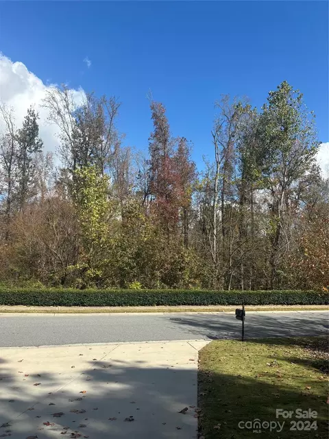 10745 Sapphire Trl, Davidson, NC 28036 photo 5