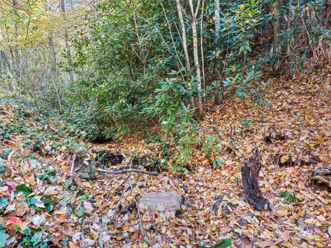 608 Seasons Dr, Clyde, NC 28721 photo 12