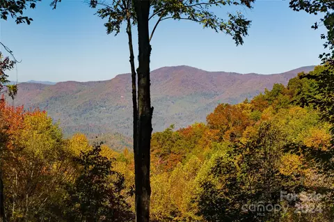 Other - 256 Haulback Way, Sylva, NC 28779 photo 14 of 24