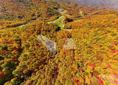 Other - 256 Haulback Way, Sylva, NC 28779 photo 2 of 24