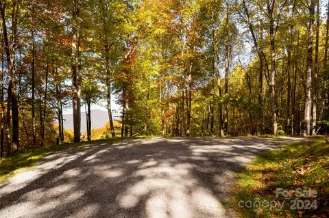 Exterior - 256 Haulback Way, Sylva, NC 28779 photo 8 of 10