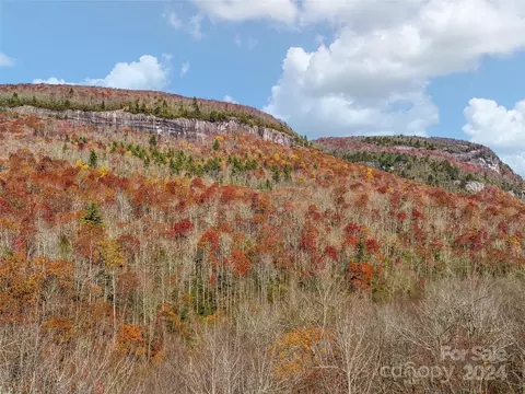 Cold Mountain Hilltop Camp Road #HILOP CAMP, Lake Toxaway, NC 28747