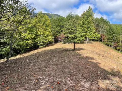 Other - 00 Birkdale 159 Dr #159, Mill Spring, NC 28756 photo 2 of 15
