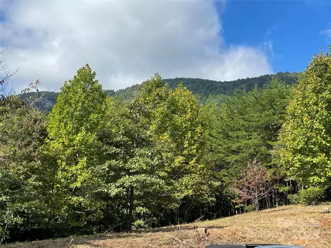Other - 00 Birkdale 159 Dr #159, Mill Spring, NC 28756 photo 9 of 15