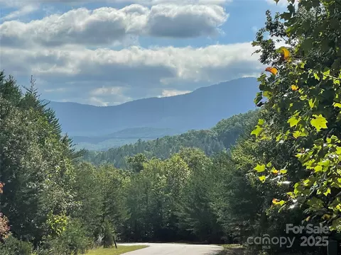 Other - 00 Birkdale 159 Dr #159, Mill Spring, NC 28756 photo 5 of 15