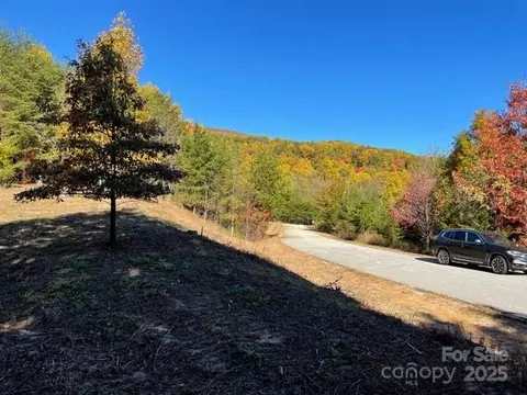 Other - 00 Birkdale 159 Dr #159, Mill Spring, NC 28756 photo 12 of 15