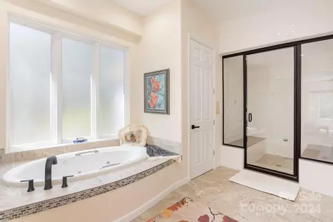 Bath - 150 Poplar Loop Dr, Flat Rock, NC 28731 photo 2 of 5