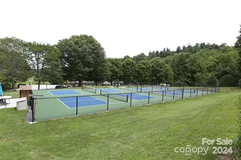 Other - 150 Poplar Loop Dr, Flat Rock, NC 28731 photo 11 of 12