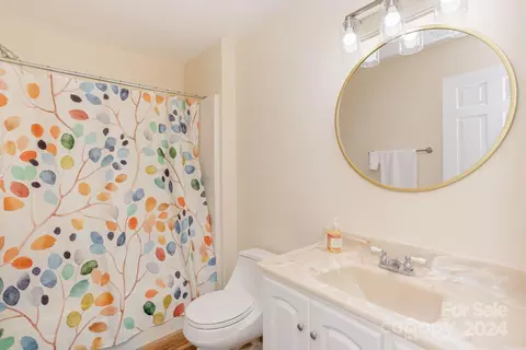 Bath - 150 Poplar Loop Dr, Flat Rock, NC 28731 photo 5 of 5