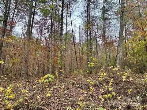 0 Jonestown Rd, Bostic, NC 28018 photo 5