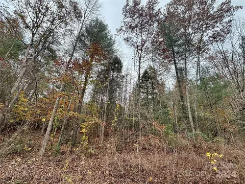 0 Jonestown Rd, Bostic, NC 28018 photo 3