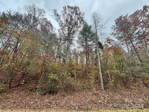 0 Jonestown Rd, Bostic, NC 28018 photo 2