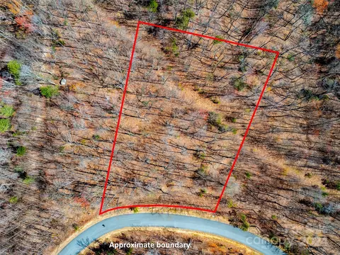 Other - 2101 Harm Creek Loop, Mill Spring, NC 28756 photo 2 of 4