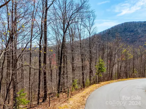 Other - 2101 Harm Creek Loop, Mill Spring, NC 28756 photo 4 of 4