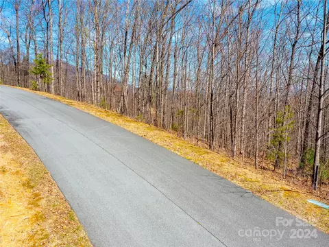 Other - 2101 Harm Creek Loop, Mill Spring, NC 28756 photo 3 of 4
