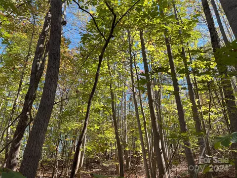 67 Brindlewood Drive #67,68, Nebo, NC 28761