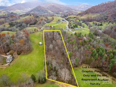 00 Ridgedale Rd, Clyde, NC 28721 photo 7
