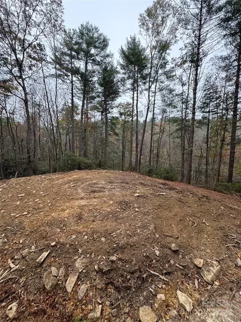 23 Frozen Creek Road #23-24, Brevard, NC 28712