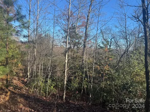 14 Spring House Trl, Brevard, NC 28712