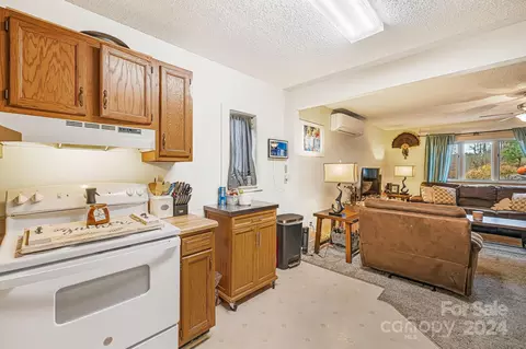 730 Silver Mill Rd, Marshall, NC 28753 photo 24