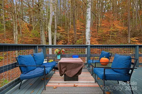 730 Silver Mill Rd, Marshall, NC 28753 photo 27