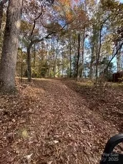 258 E Dalton Rd, Ellenboro, NC 28040 photo 21
