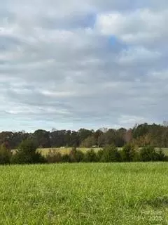 258 E Dalton Rd, Ellenboro, NC 28040 photo 19