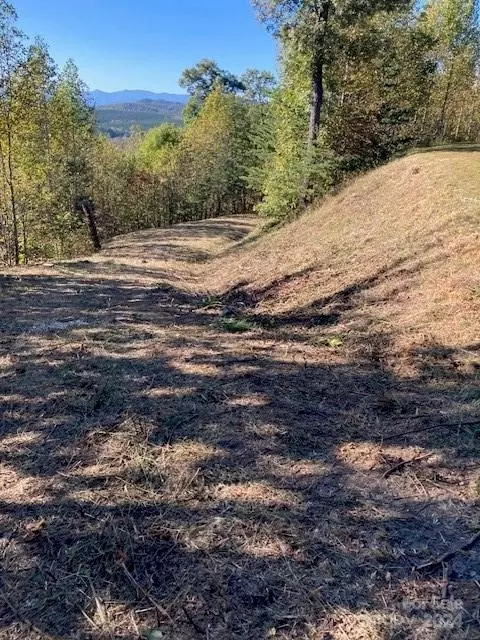 213 Rocky Top Lot Apt 267 Ln #LOT 267, Nebo, NC 28761