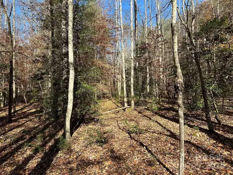 00 Sebastian Rd, Mcgrady, NC 28649 photo 15