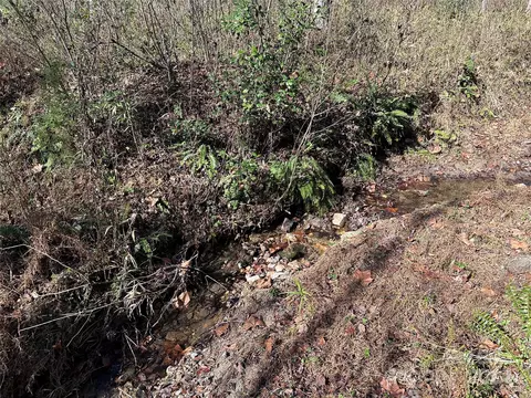 00 Sebastian Rd, Mcgrady, NC 28649 photo 13