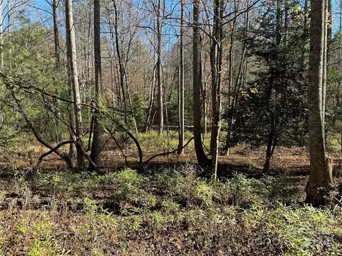 00 Sebastian Rd, Mcgrady, NC 28649 photo 10