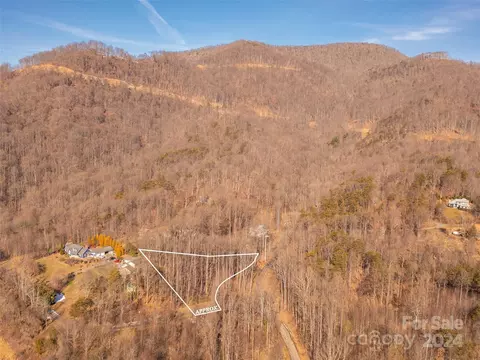 9999 Lovebird 1 Ln #1, Candler, NC 28715