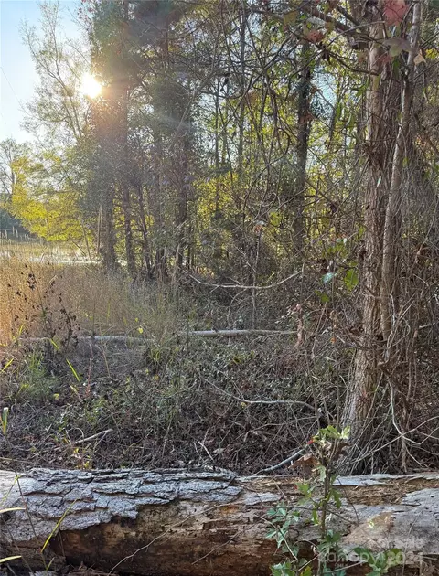 2935 Jackson Rd, Chesterfield, SC 29709 photo 3