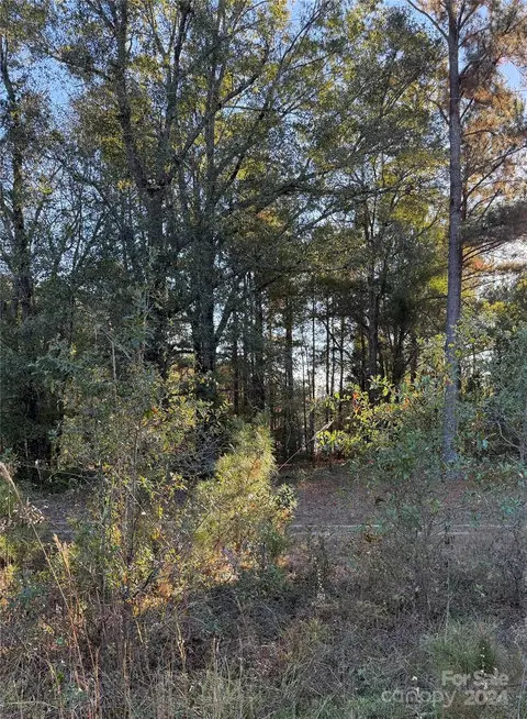 2935 Jackson Rd, Chesterfield, SC 29709 photo 5