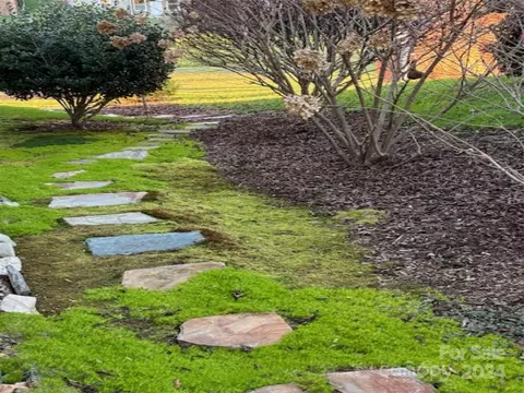 Other - 25 Cunningham St, Brevard, NC 28712 photo 17 of 17