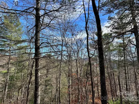 625 White Water 25 Way #25, Marshall, NC 28753