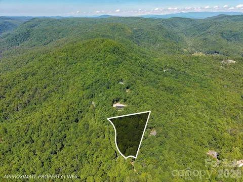 99999 Black Bear Ridge Trl, Zirconia, NC 28790